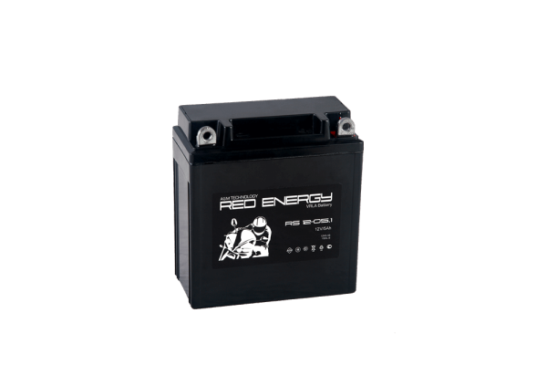 RS 1205.1 RS 1205.1