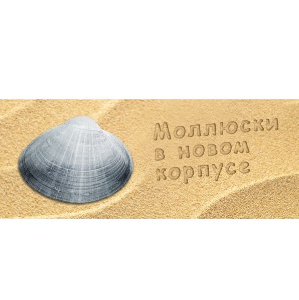 Встречайте новинки! МОЛЛЮСКИ в новом металлическом корпусе!